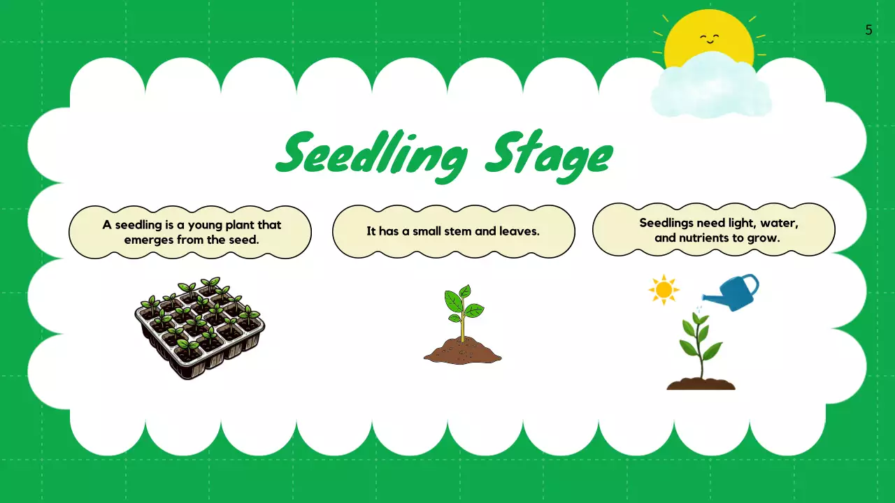 Green Simple Plant Guide Presentation