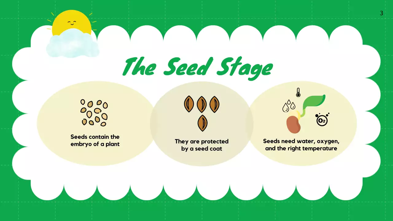 Green Simple Plant Guide Presentation