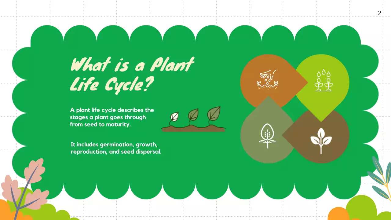 Green Simple Plant Guide Presentation