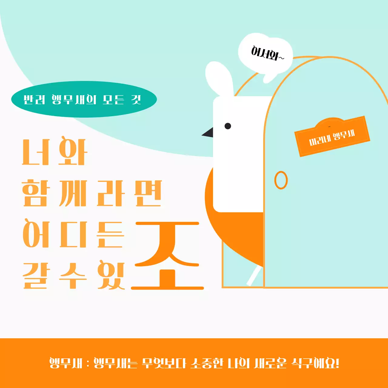 주황색과 민트색 포인트 컬러에 귀여운 반려 앵무새 이벤트