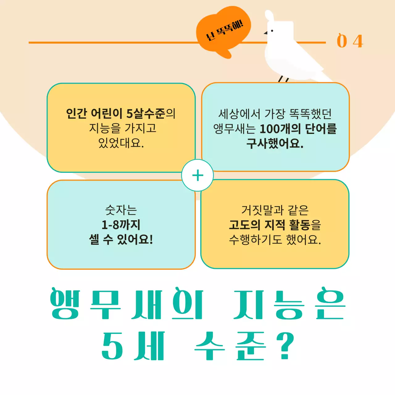 주황색과 민트색 포인트 컬러에 귀여운 반려 앵무새 이벤트