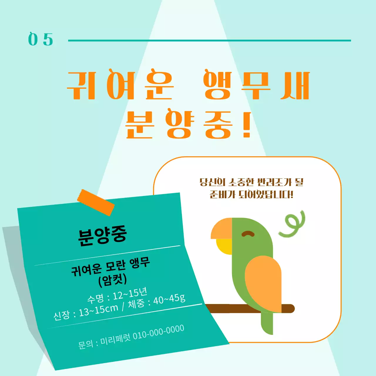 주황색과 민트색 포인트 컬러에 귀여운 반려 앵무새 이벤트