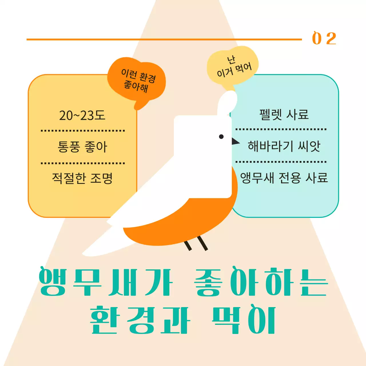 주황색과 민트색 포인트 컬러에 귀여운 반려 앵무새 이벤트