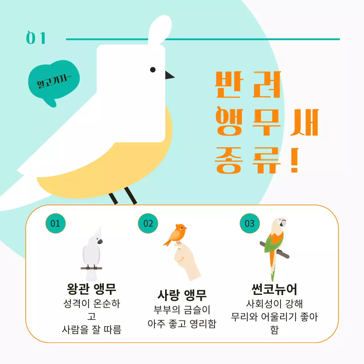 주황색과 민트색 포인트 컬러에 귀여운 반려 앵무새 이벤트