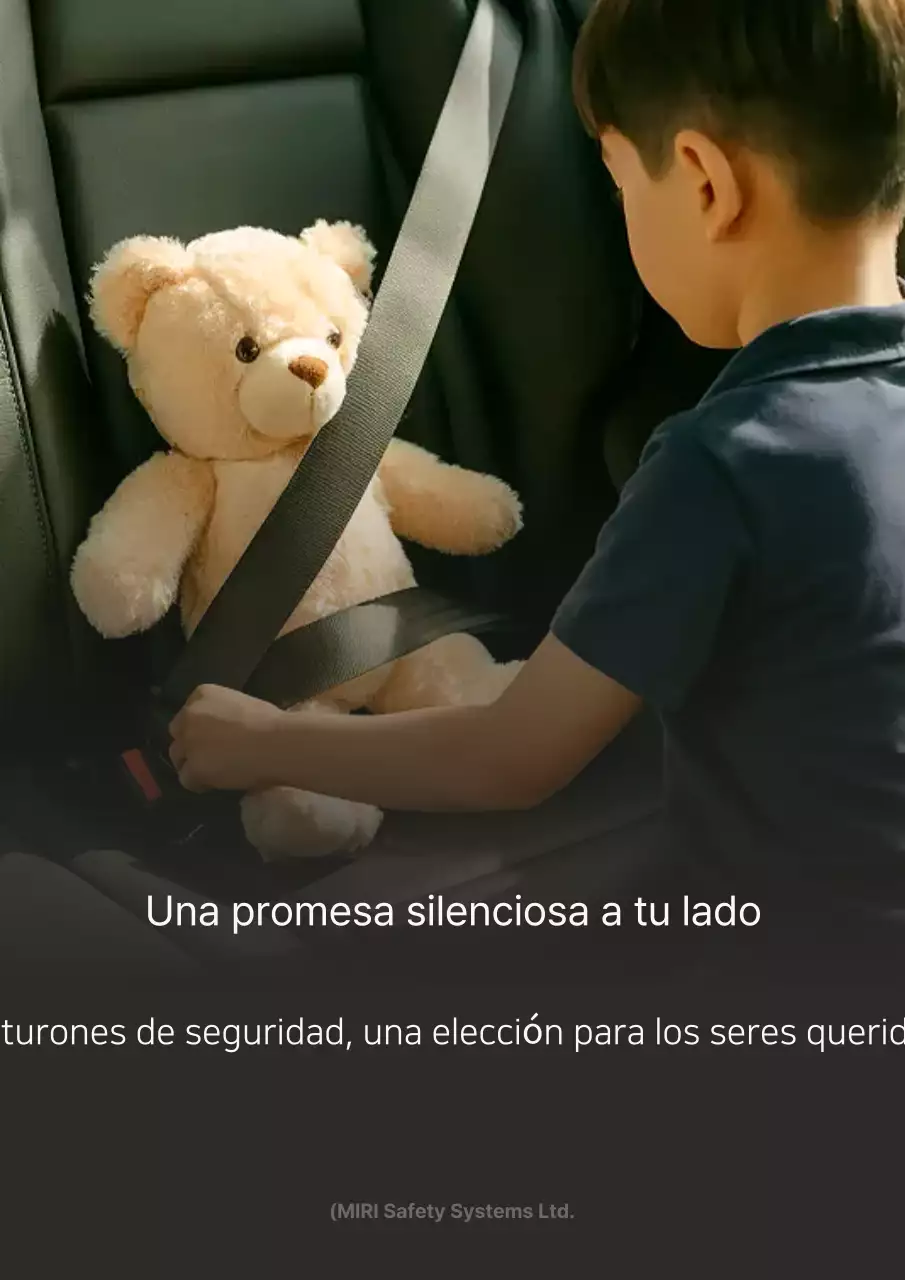 Pautas de seguridad simples y negras