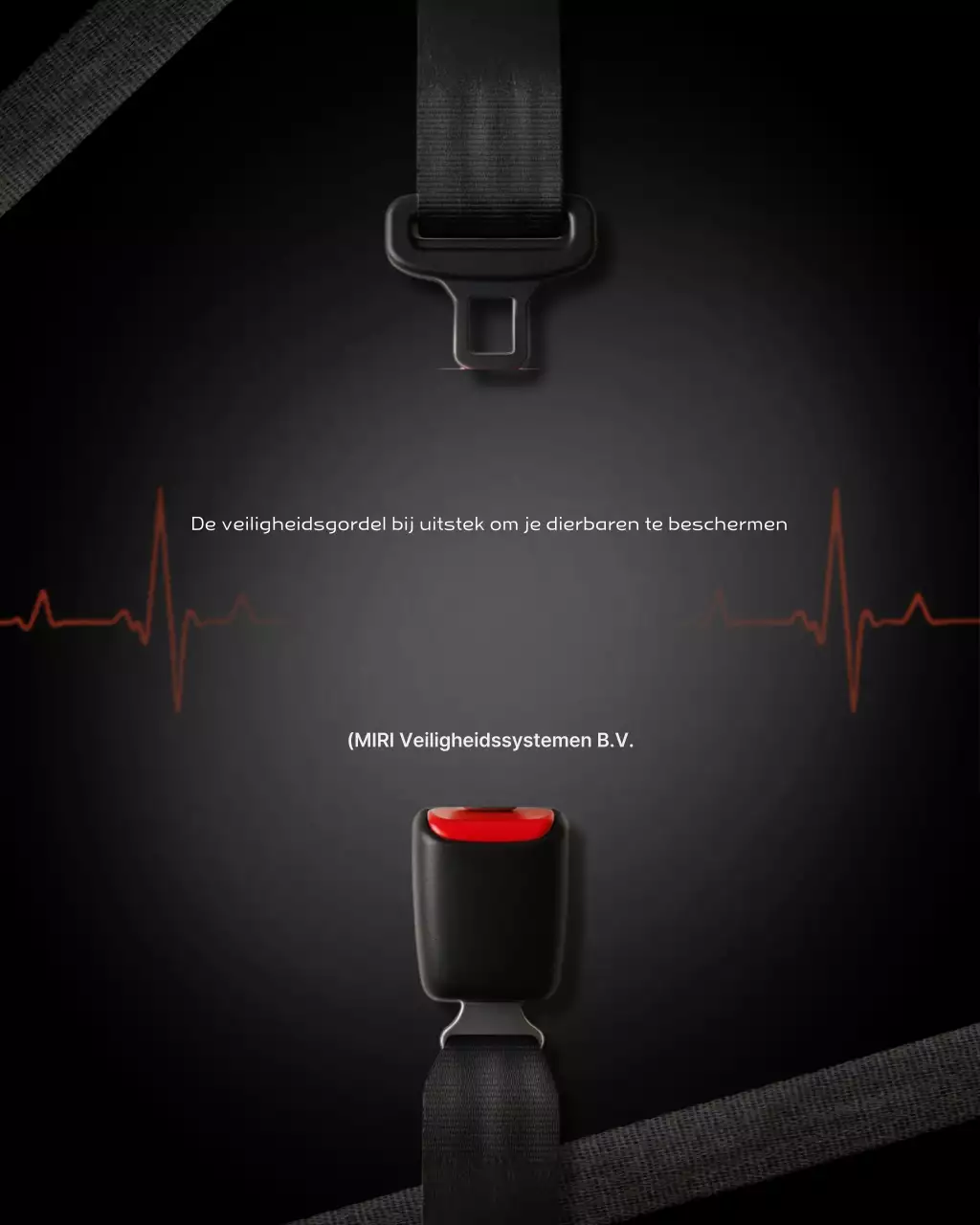 Zwarte Eenvoudige Veiligheidsgordel Veiligheidscampagne