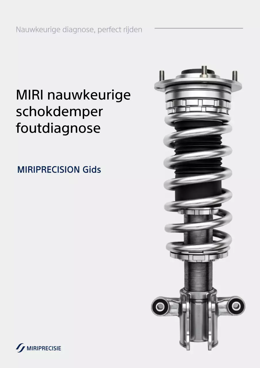 Grijze moderne autohandleiding