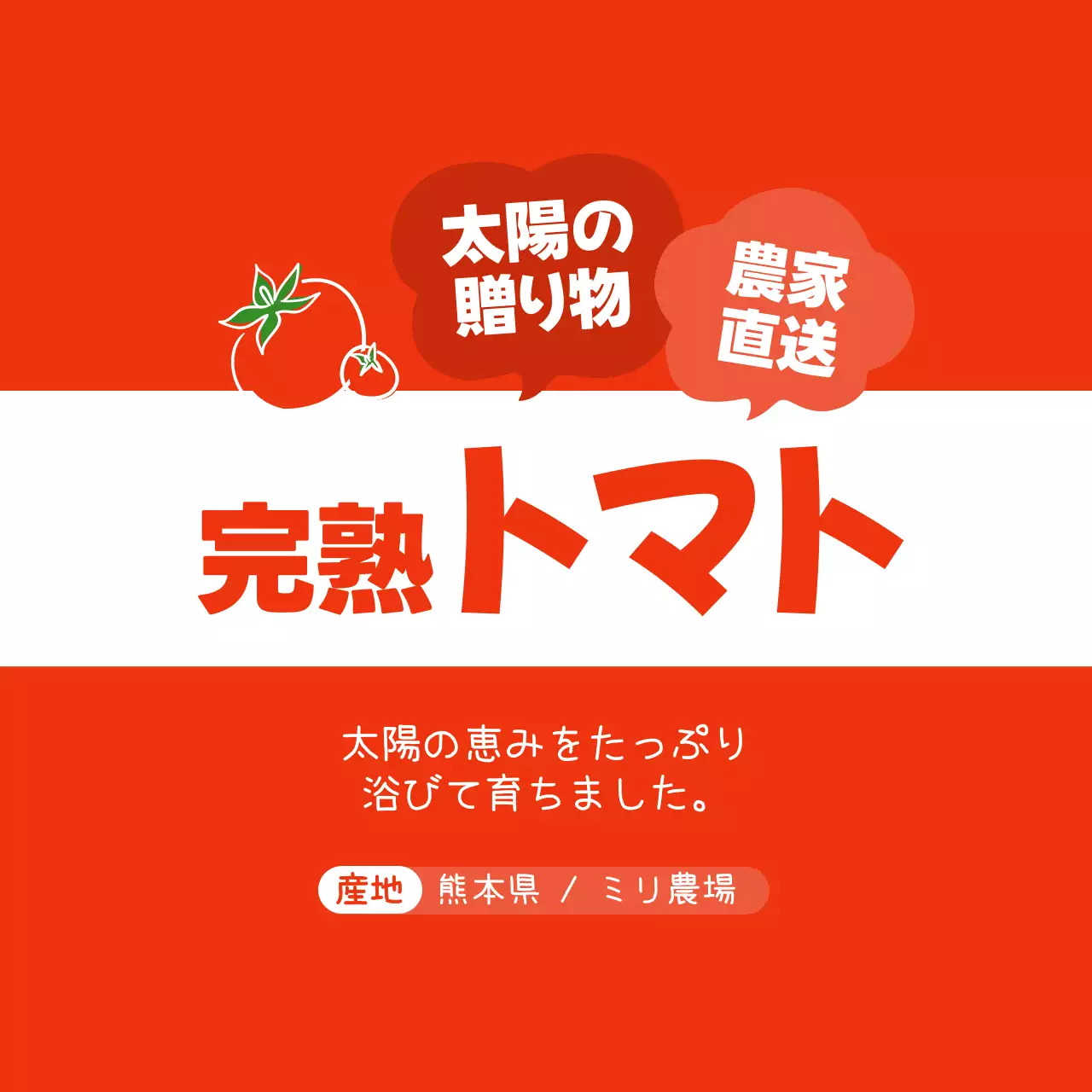 緑 赤 シンプル フルーツ ラベル シリーズフルーツテキスト