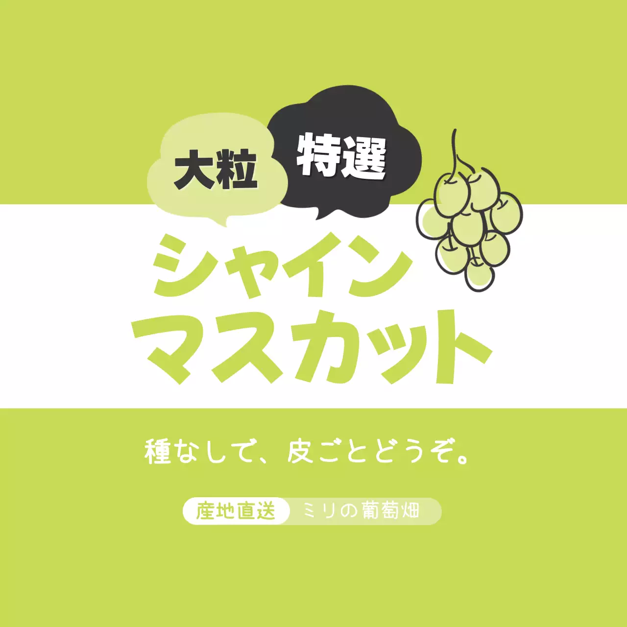 緑 赤 シンプル フルーツ ラベル シリーズフルーツテキスト