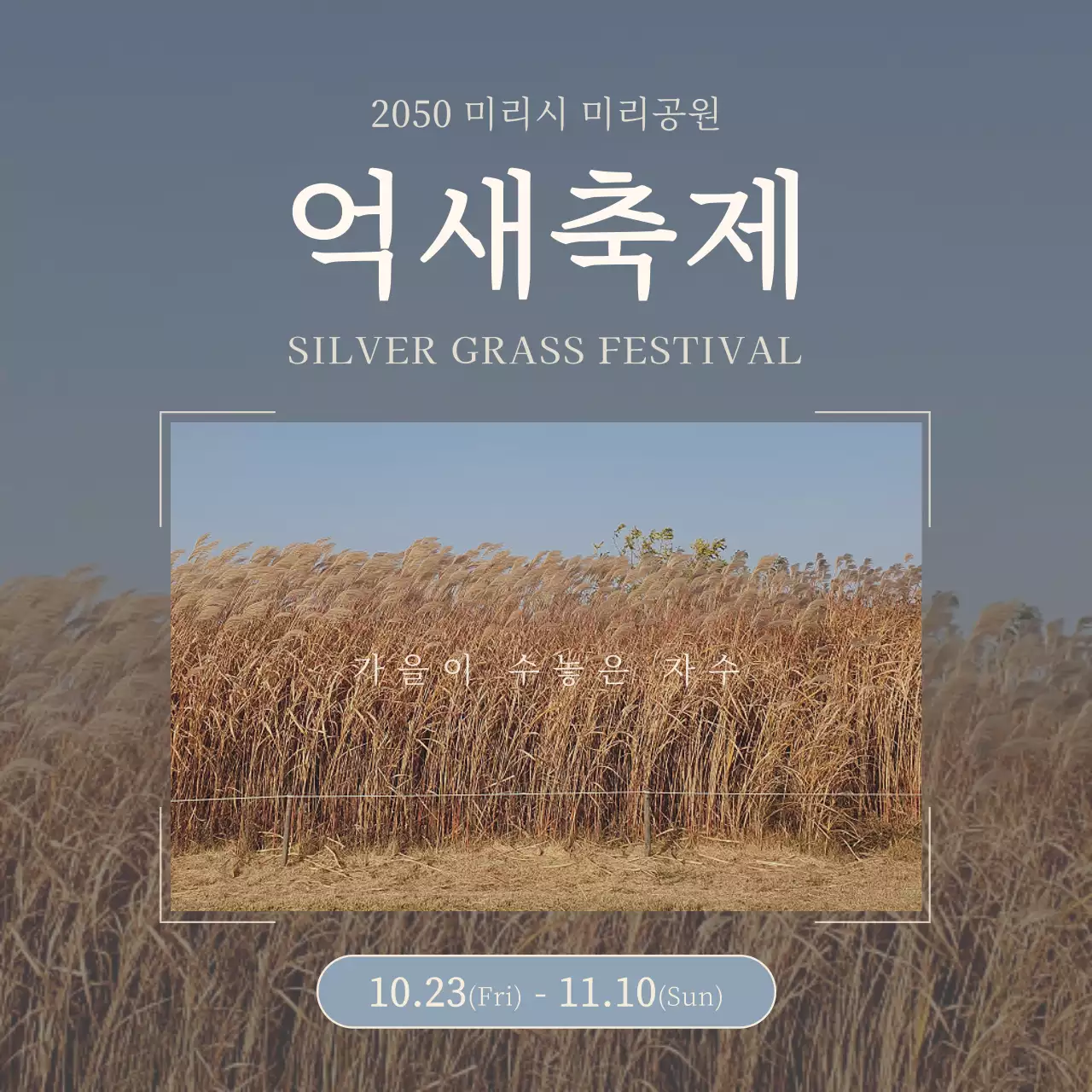 하늘색과 베이지색의 심플하고 미니멀한 억새 축제 홍보