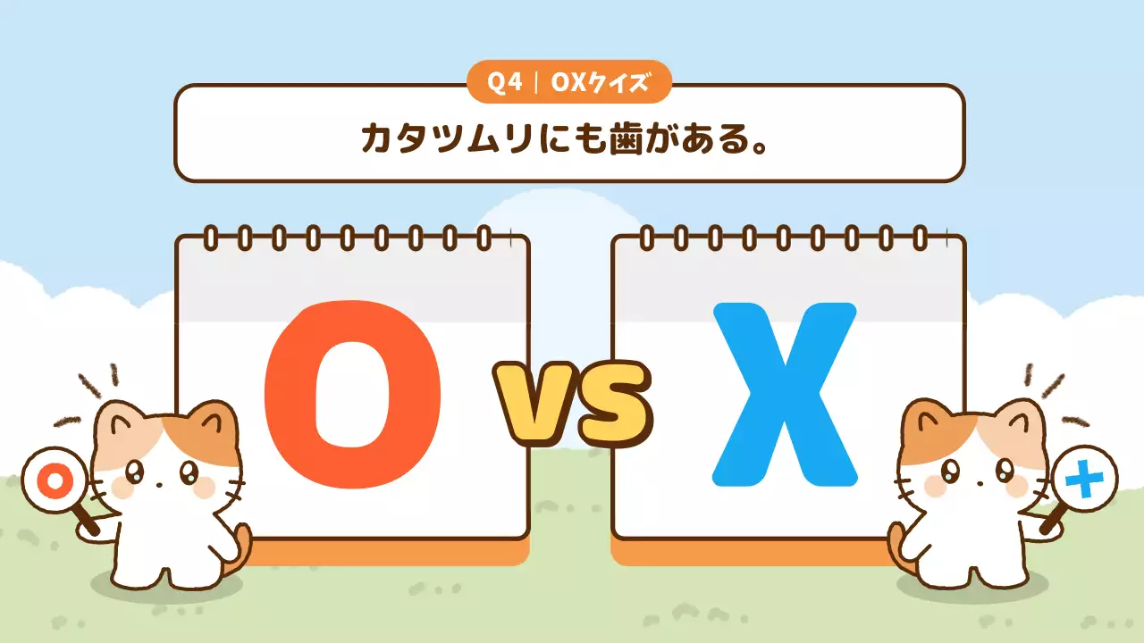 オレンジ かわいい クイズ ポスター