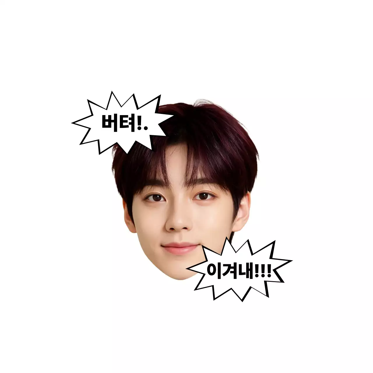 흰색 심플 남자아이돌 스티커