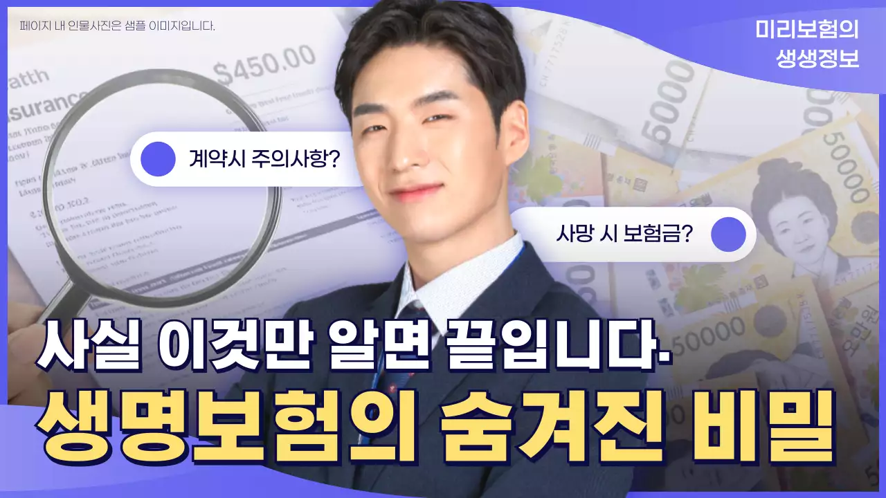 연보라 모던 보험 정보 광고