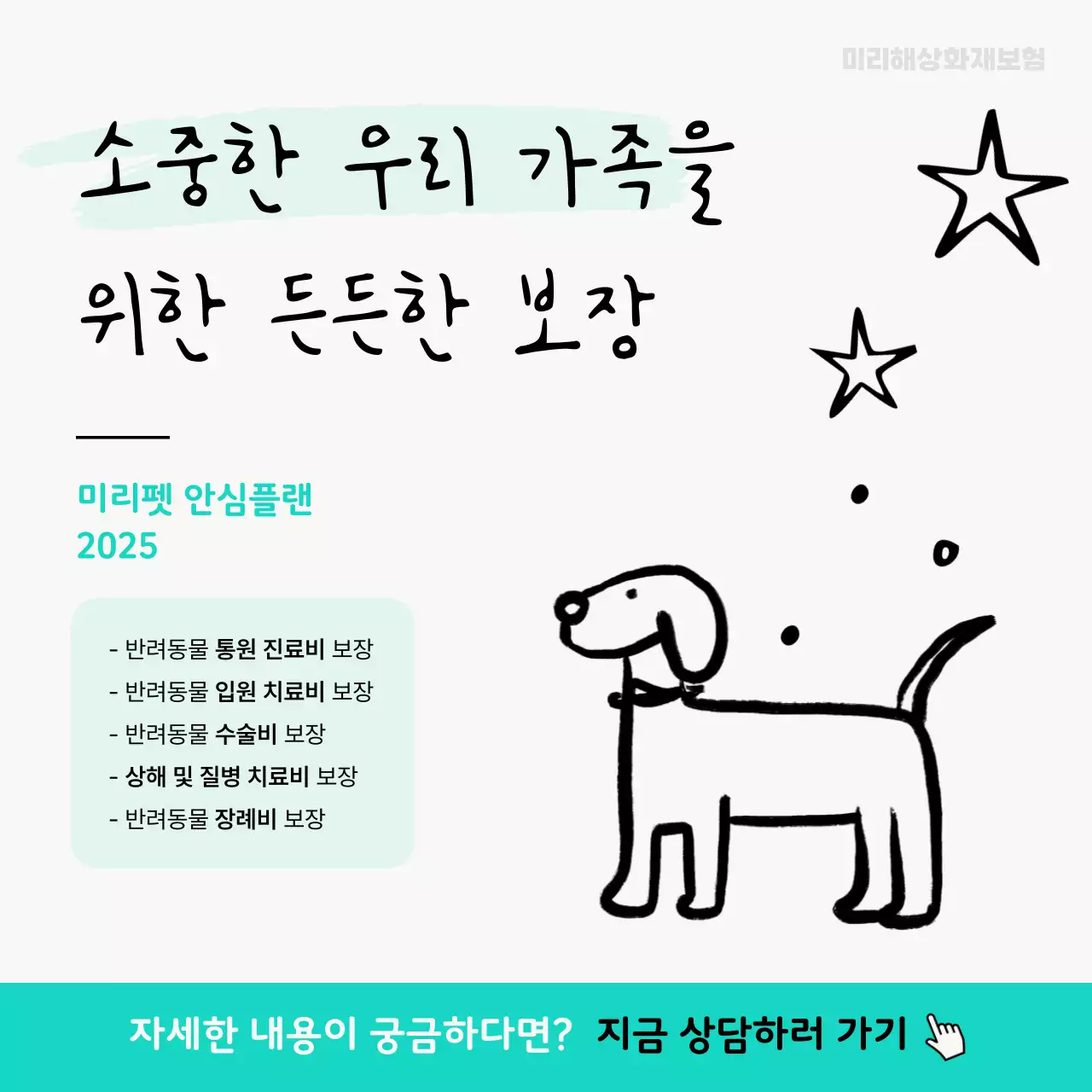 민트 깔끔 반려동물 보험 홍보