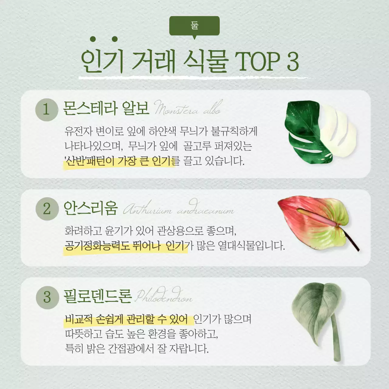 초록색 일러스트 식테크 정보제공