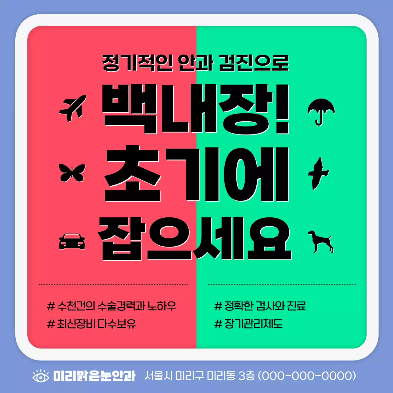 파란색의 심플한 백내장 정보안내