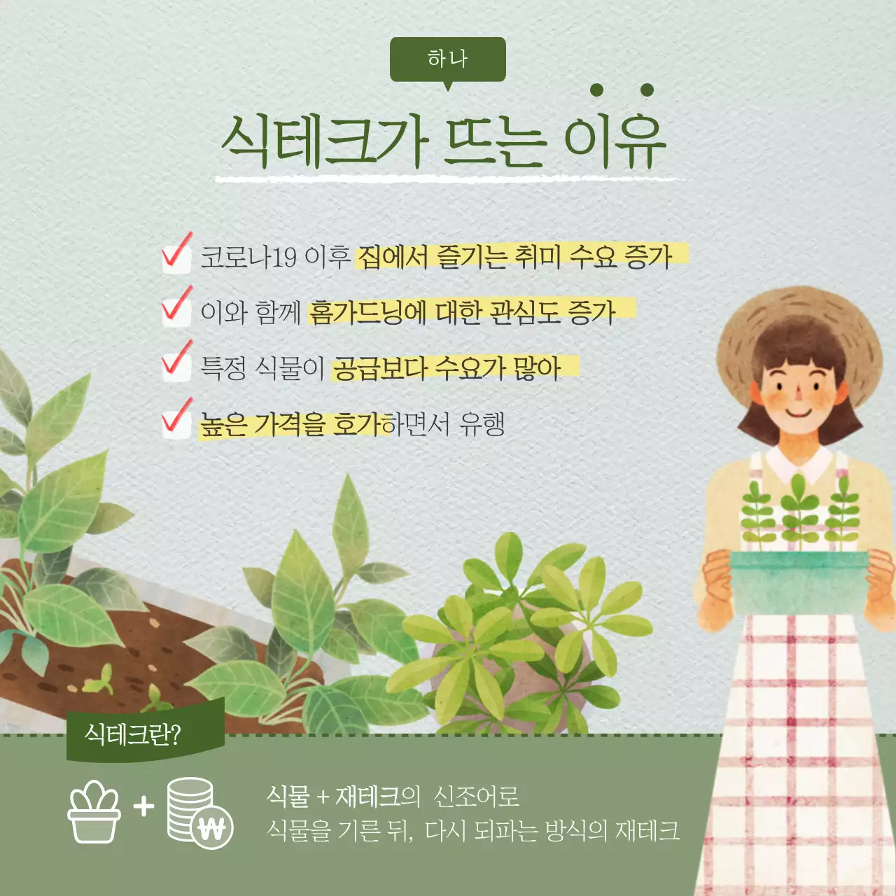 초록색 일러스트 식테크 정보제공