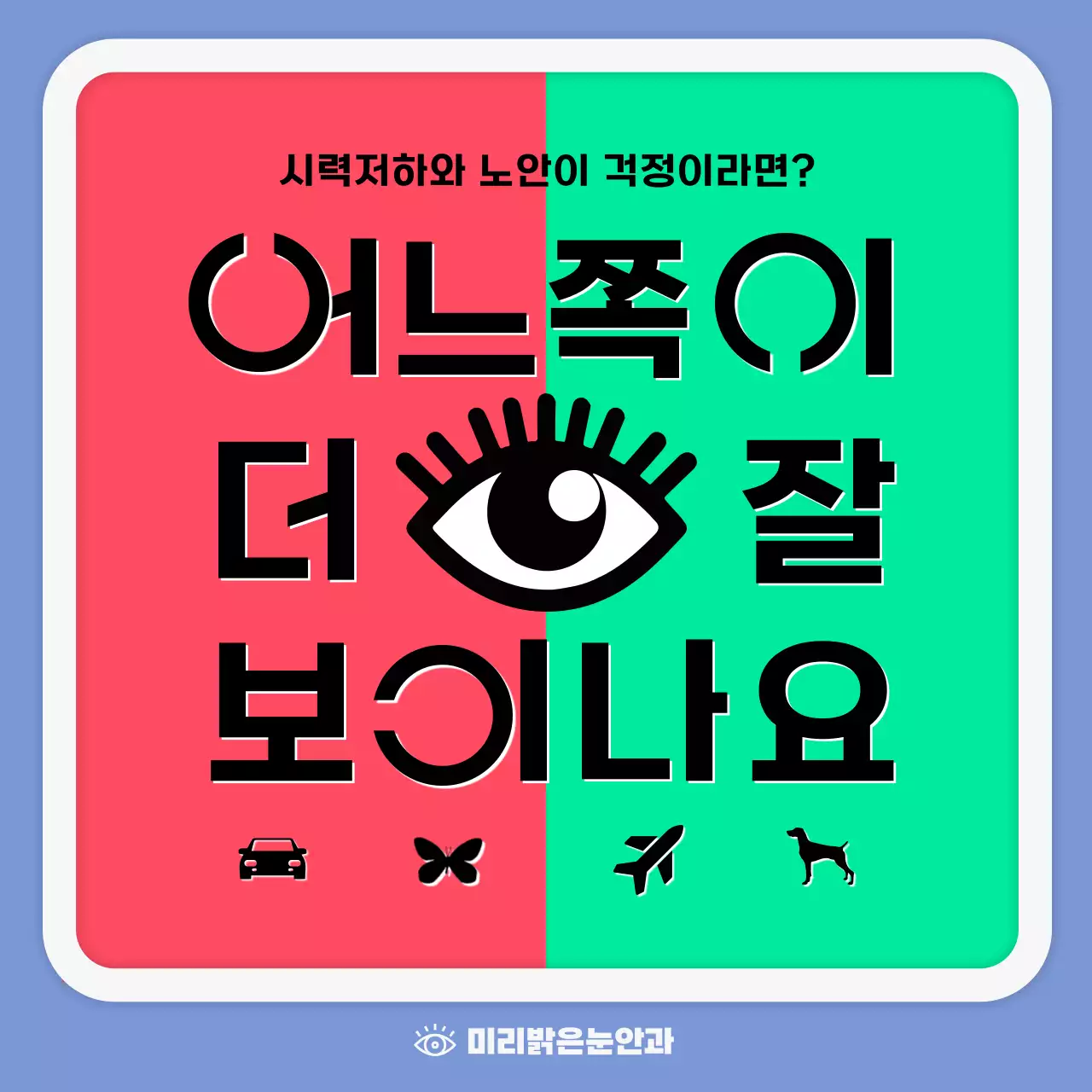 파란색의 심플한 백내장 정보안내