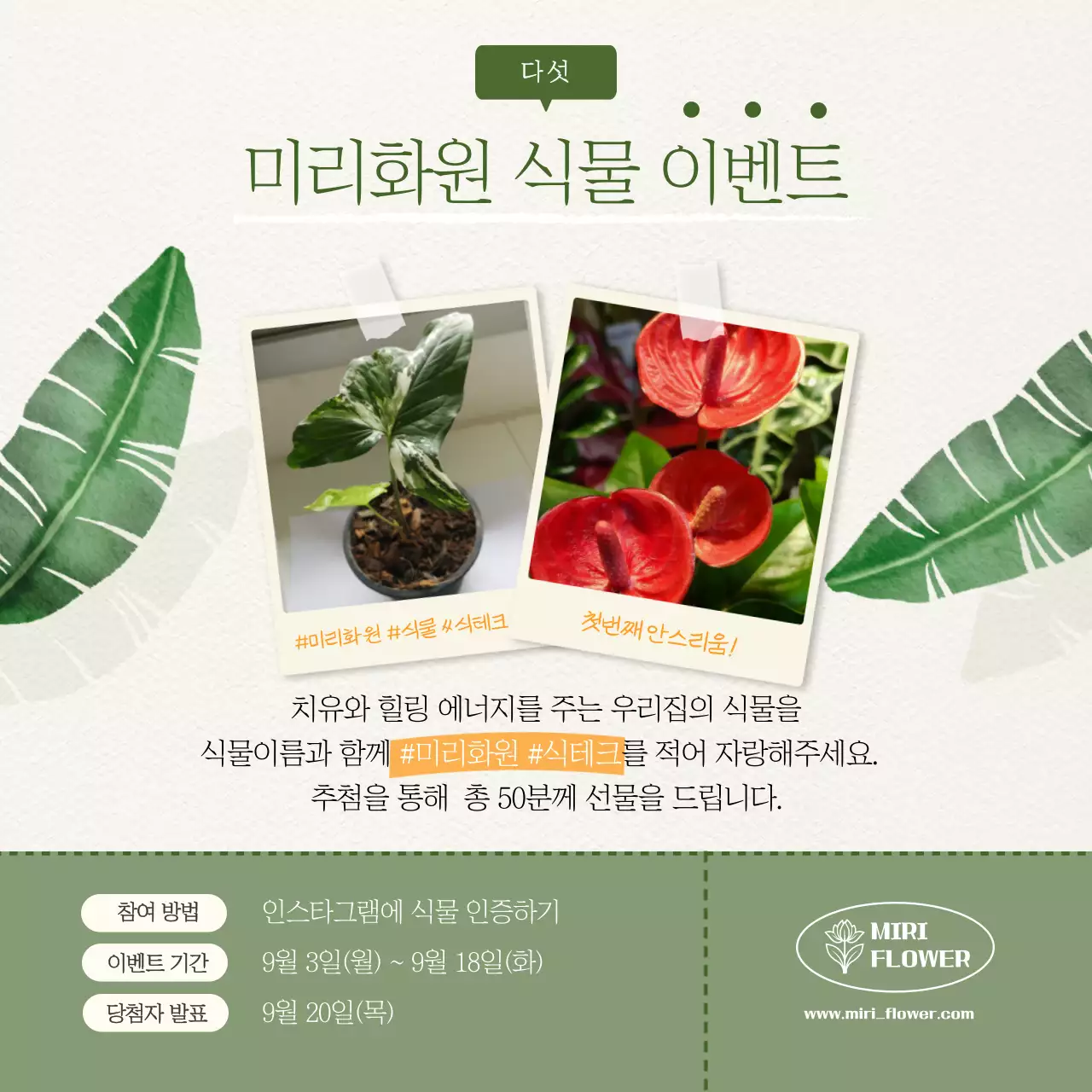 초록색 일러스트 식테크 정보제공