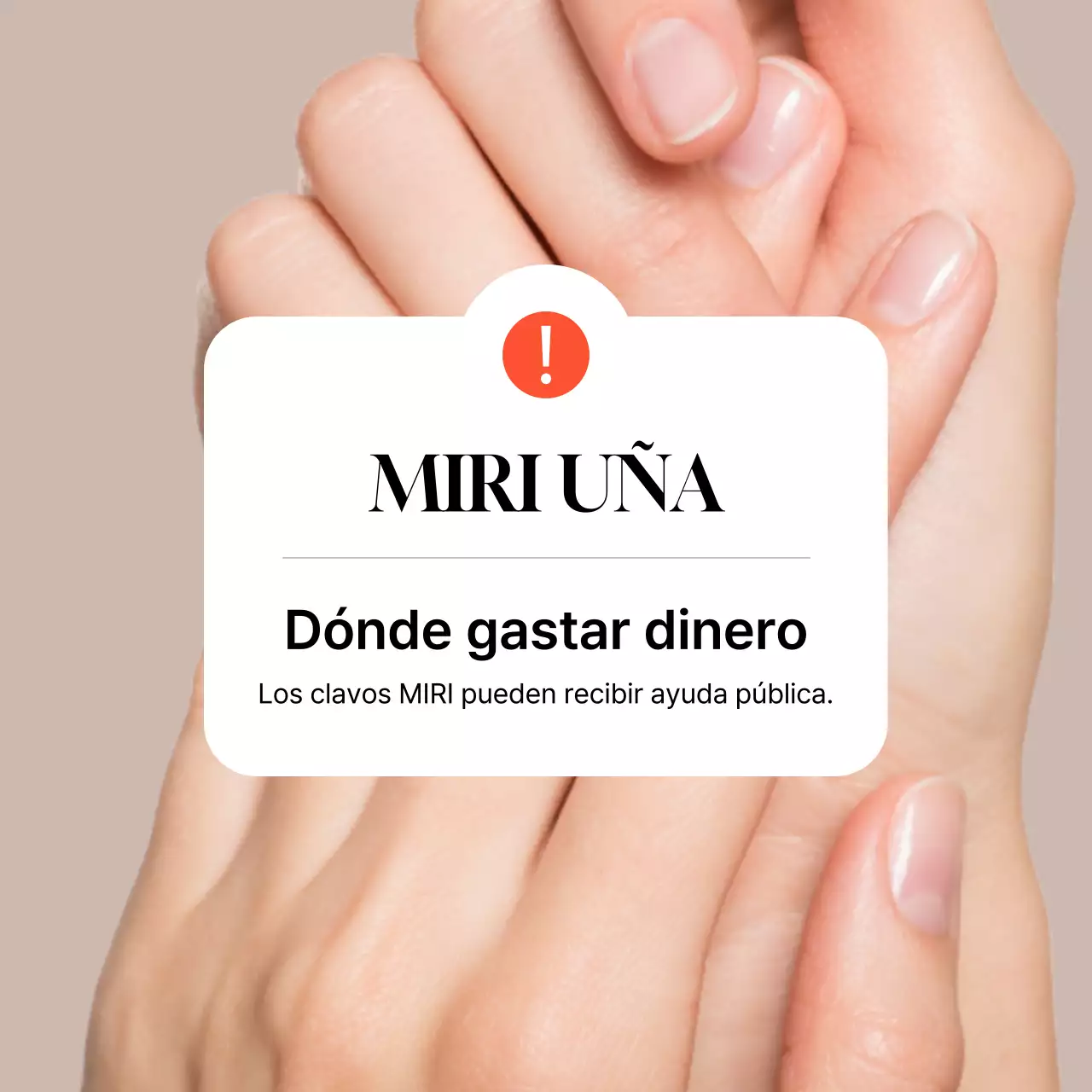 Guía del Fondo de Apoyo para Minseong de Arte de Uñas Beige Clean