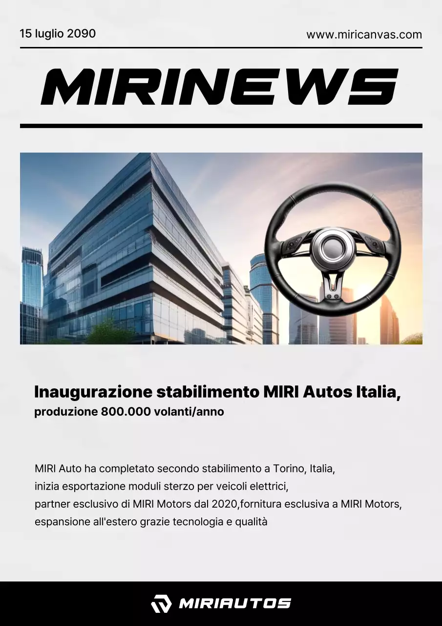 Newsletter aziendale sul volante semplice grigio e nero per auto