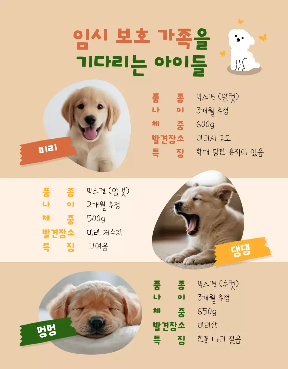 베이지 아기자기한 동물 보호 모집