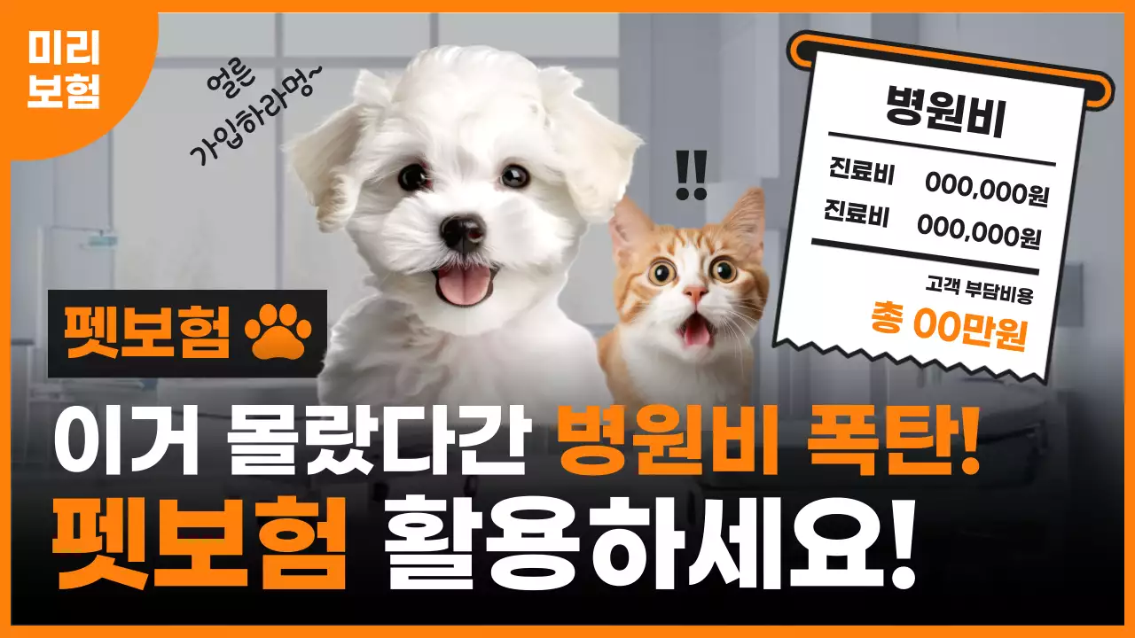 주황 팝 보험 광고