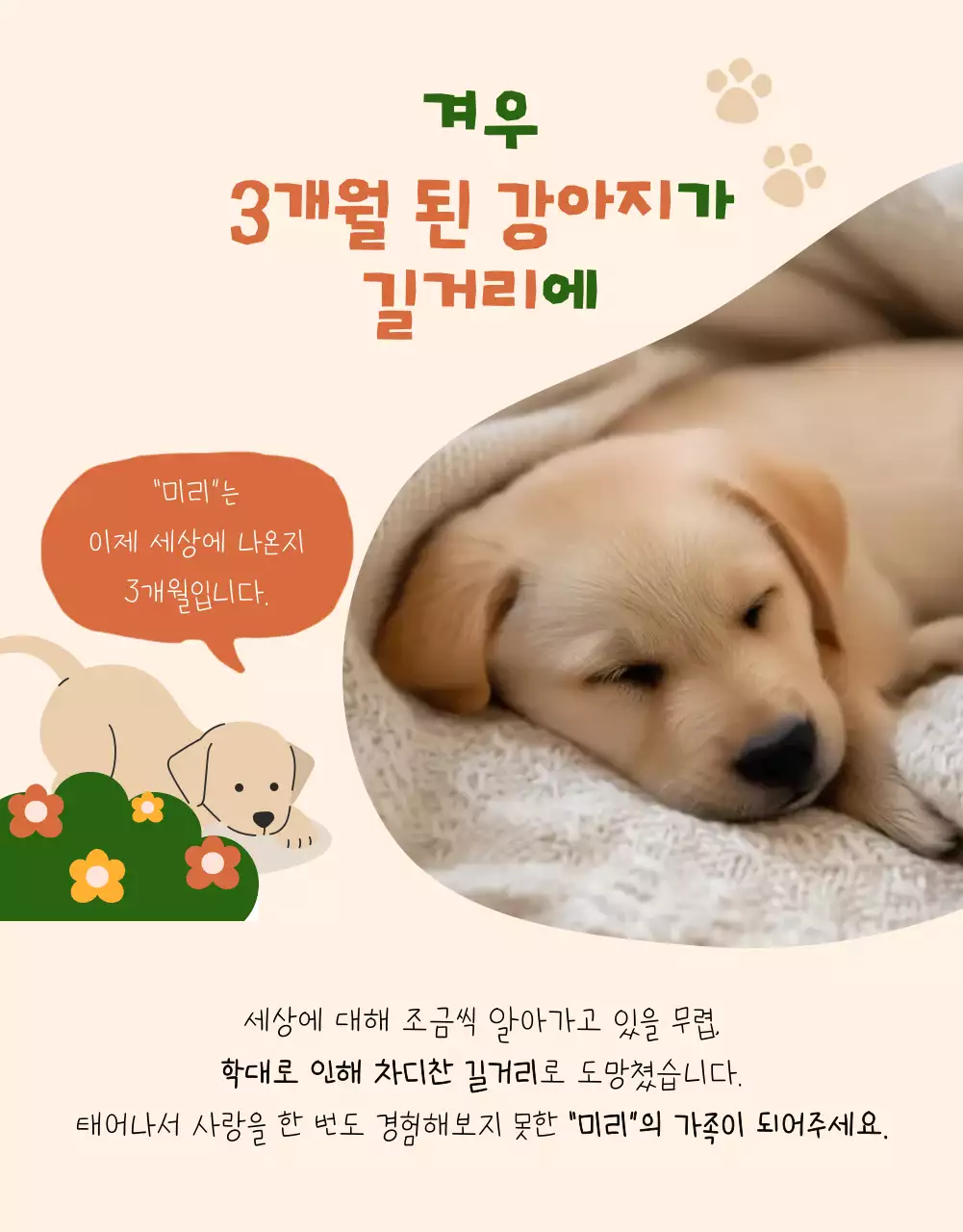 베이지 아기자기한 동물 보호 모집