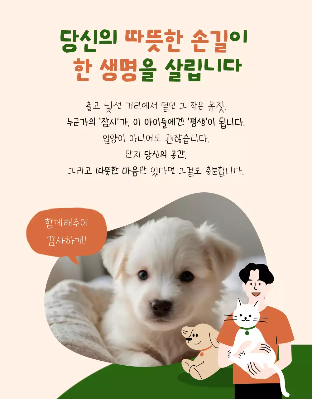 베이지 아기자기한 동물 보호 모집