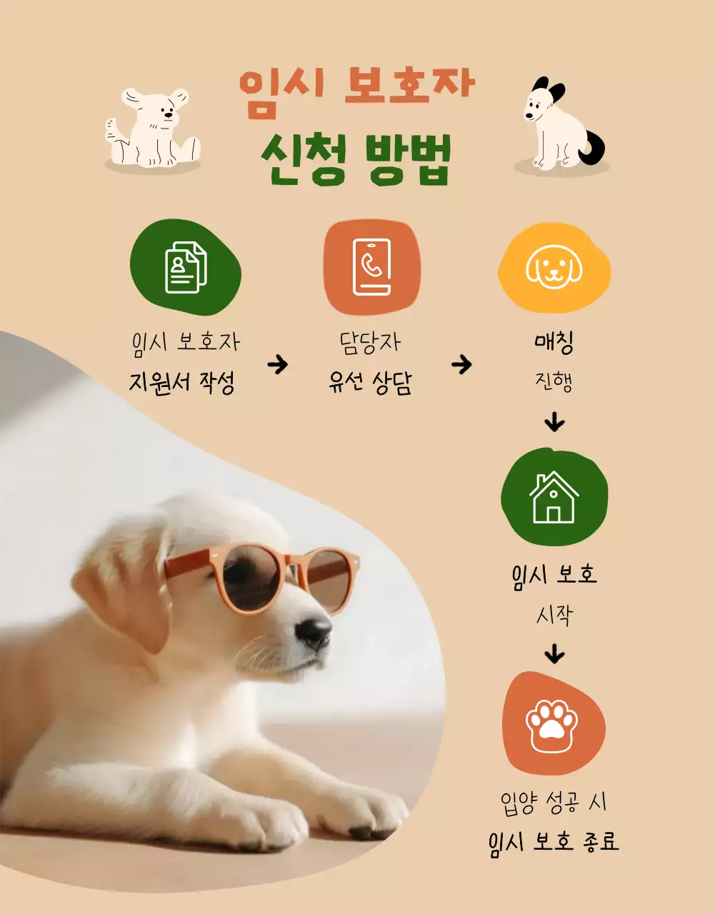 베이지 아기자기한 동물 보호 모집