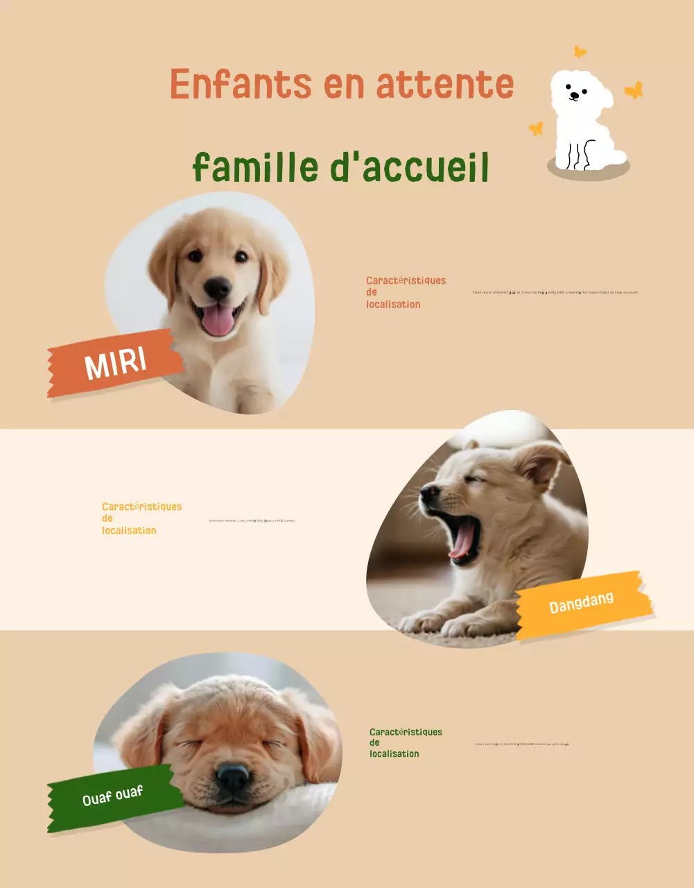 Recrutement pour la protection des bébés animaux beiges