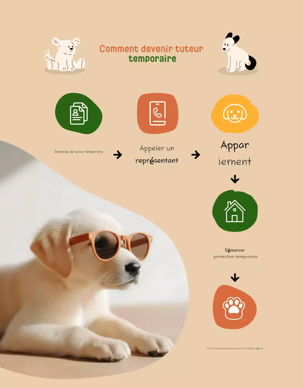 Recrutement pour la protection des bébés animaux beiges