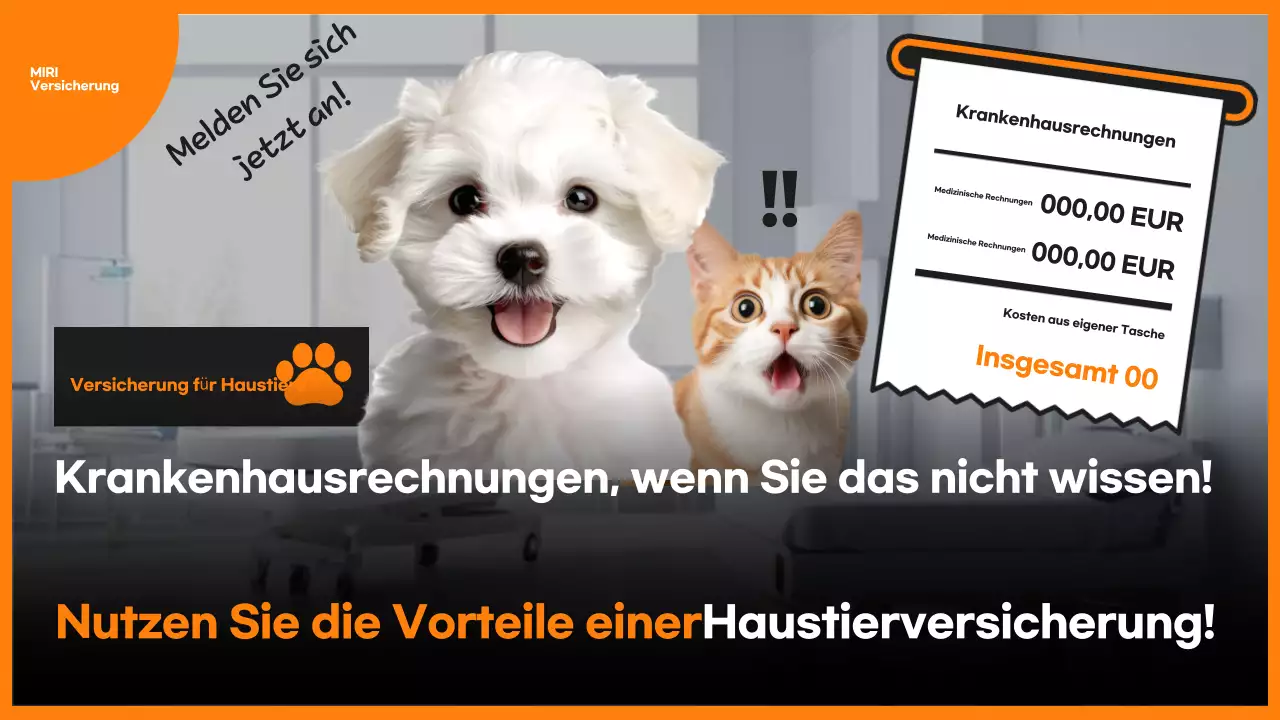 Werbung für die Orange Pop-Versicherung