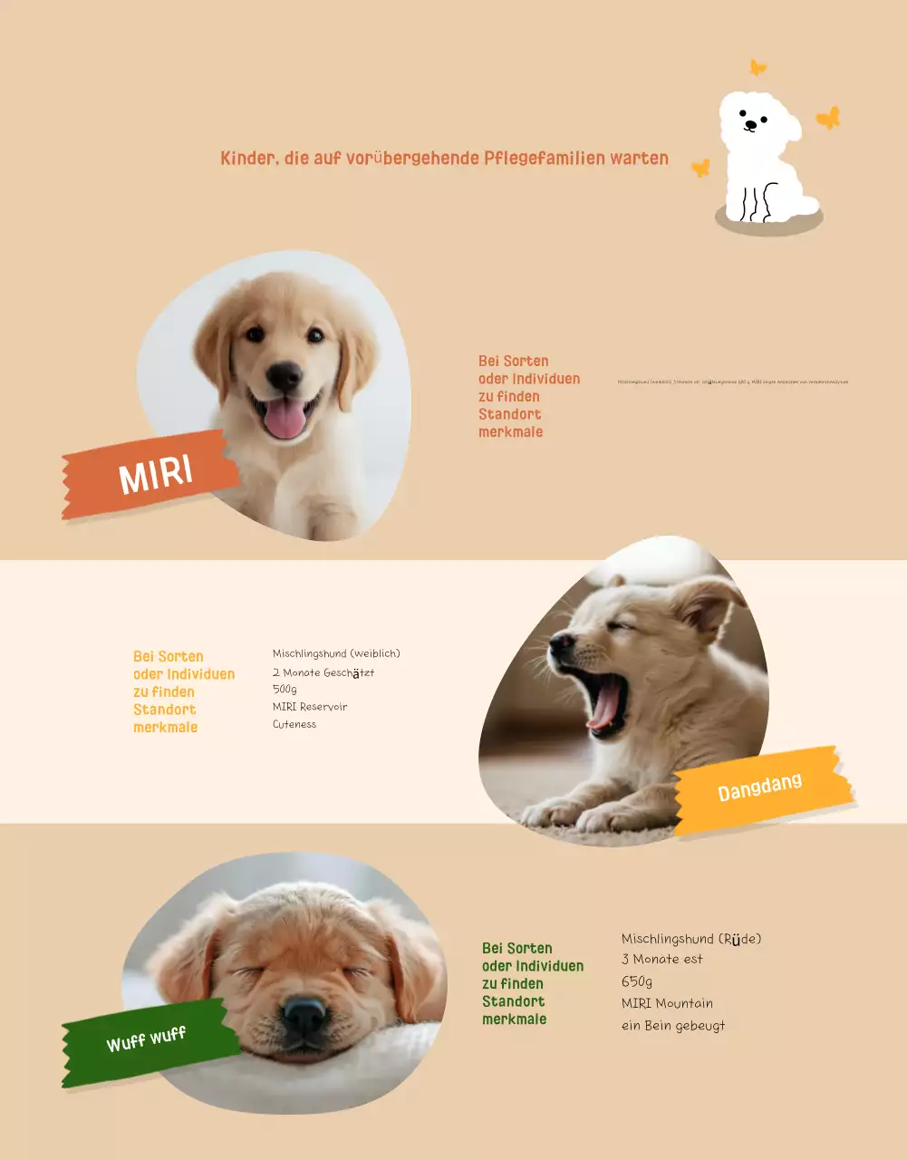 Beige Baby Animal Protection Rekrutierung