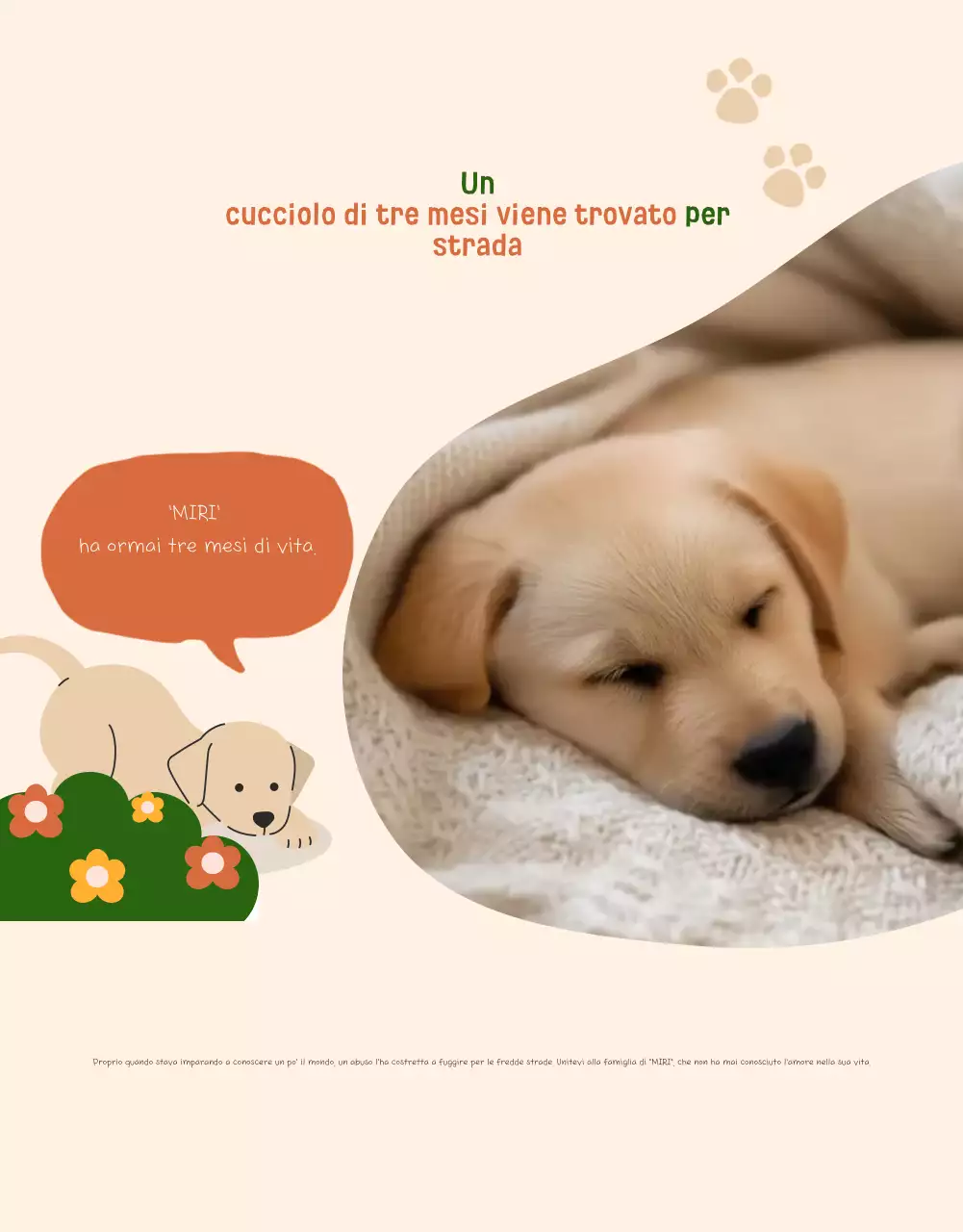 Reclutamento per la protezione degli animali Beige Baby