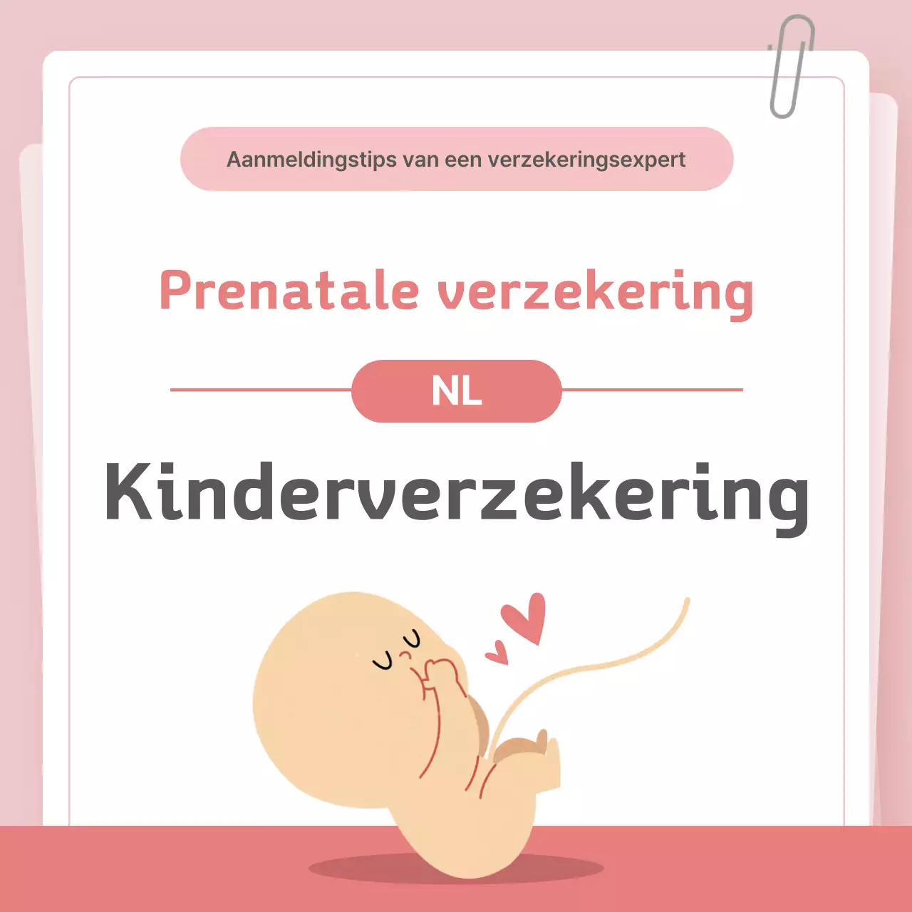 Roze babyverzekeringsgids