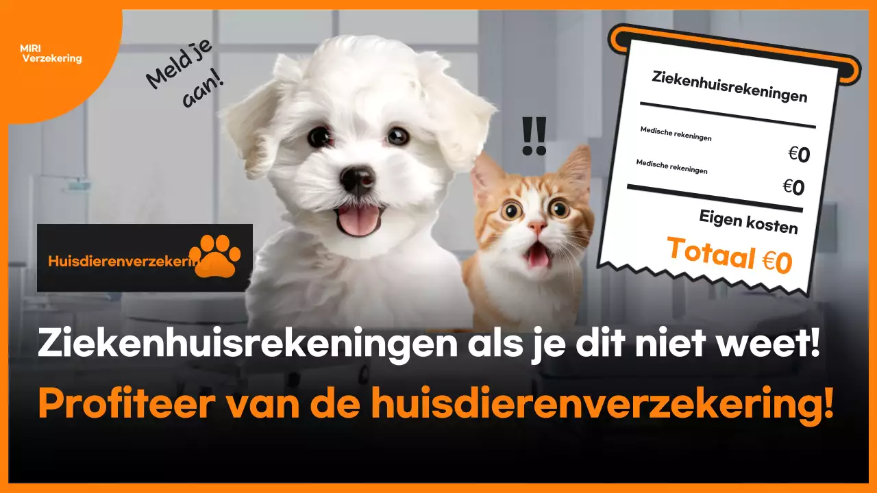 Advertentie voor Orange Pop Verzekeringen