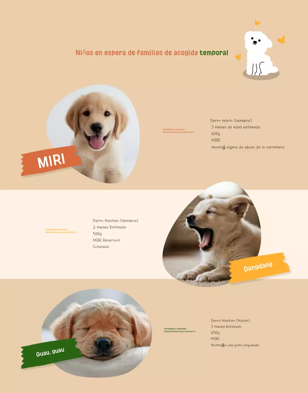 Reclutamiento para la protección de animales bebés beige