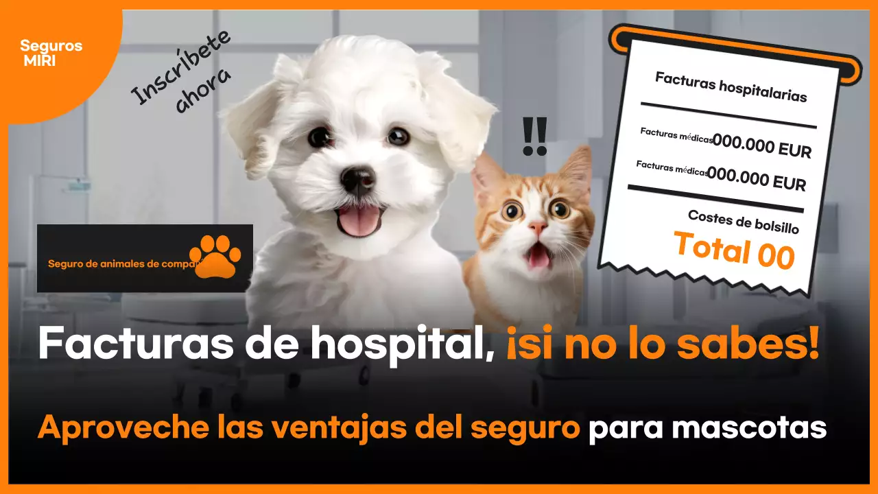 Anuncio de seguros Orange Pop