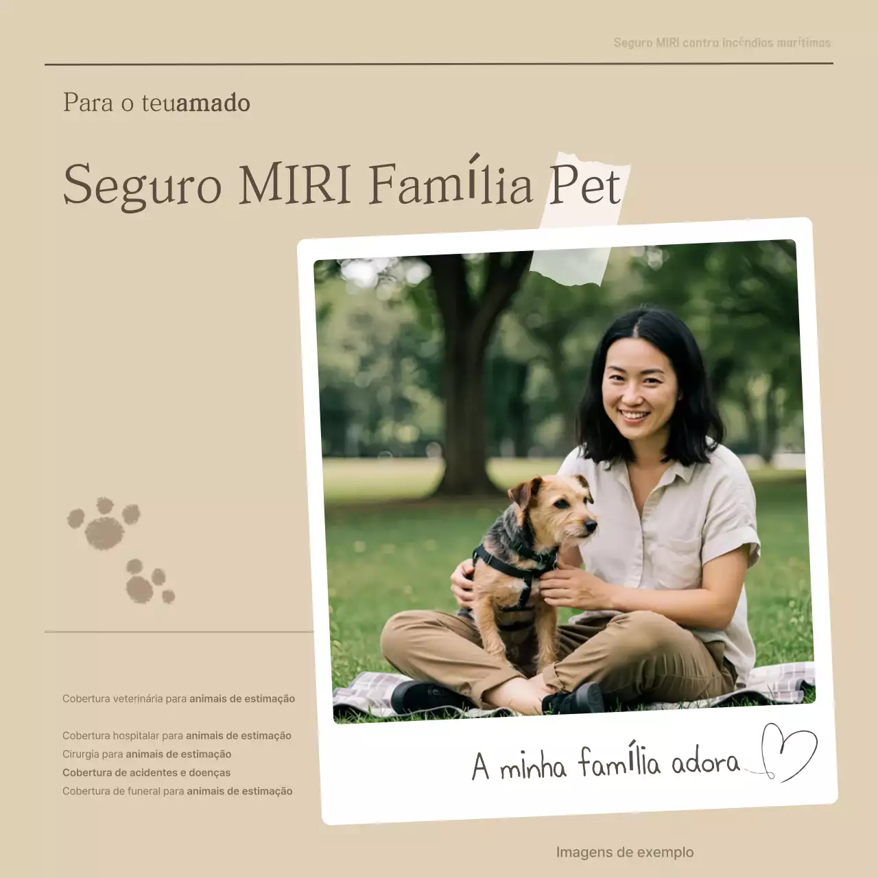 Promoção de Seguro para Animais de Estimação Bege Clean