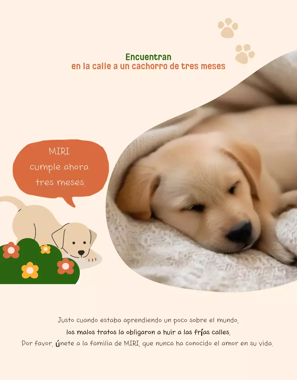 Reclutamiento para la protección de animales bebés beige