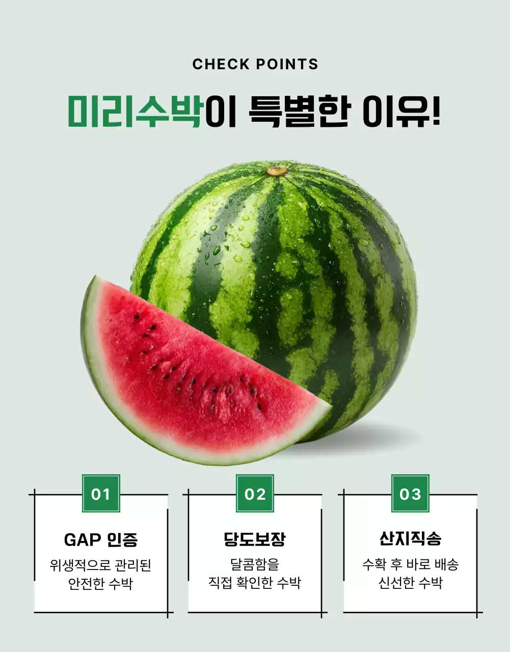 심플한 수박 상세페이지