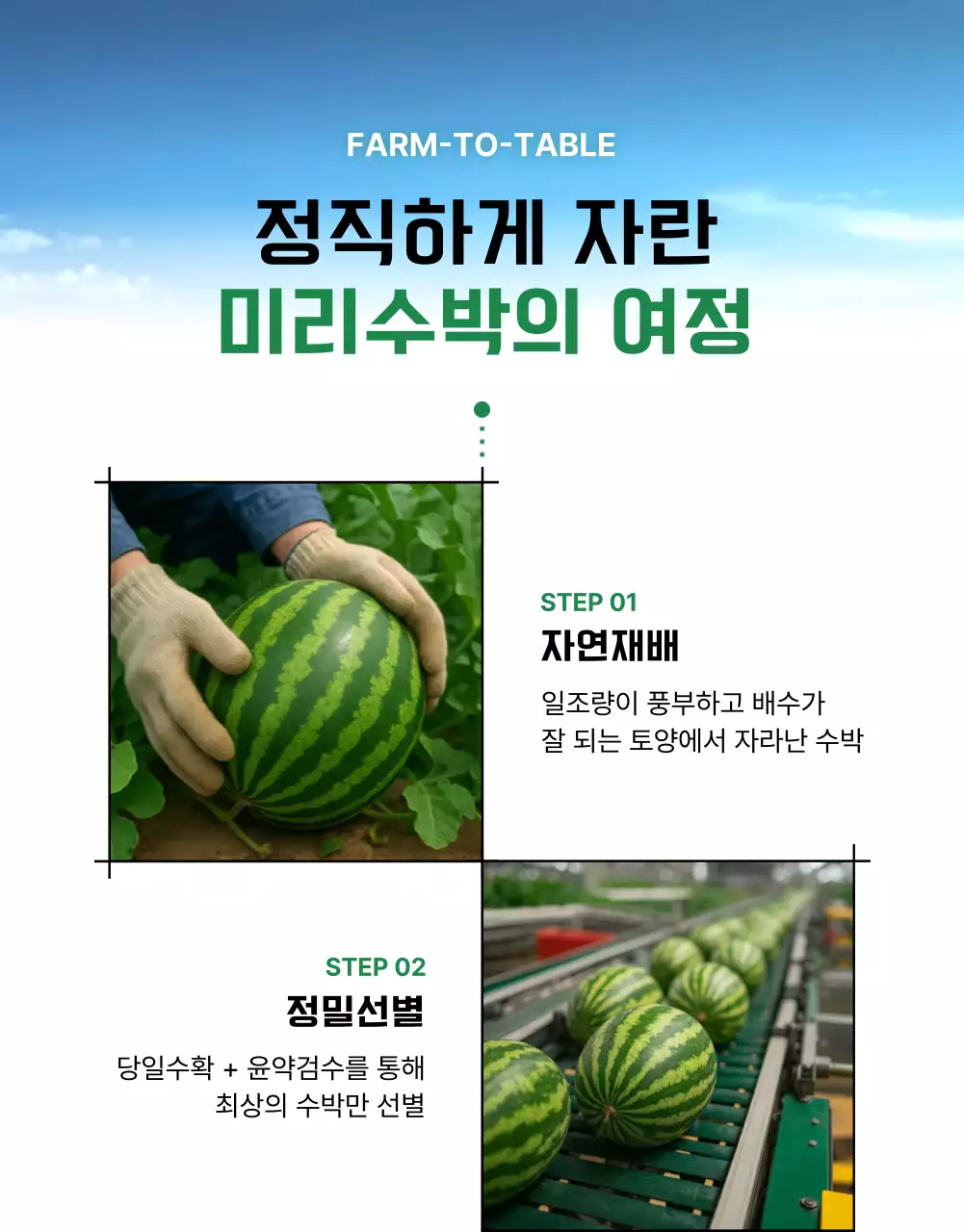 심플한 수박 상세페이지