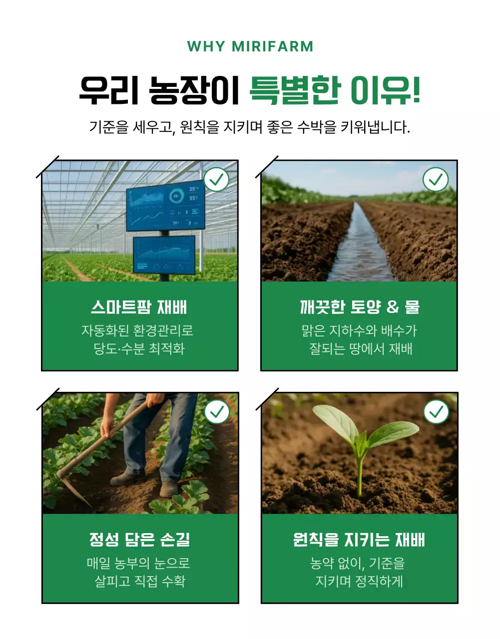 심플한 수박 상세페이지
