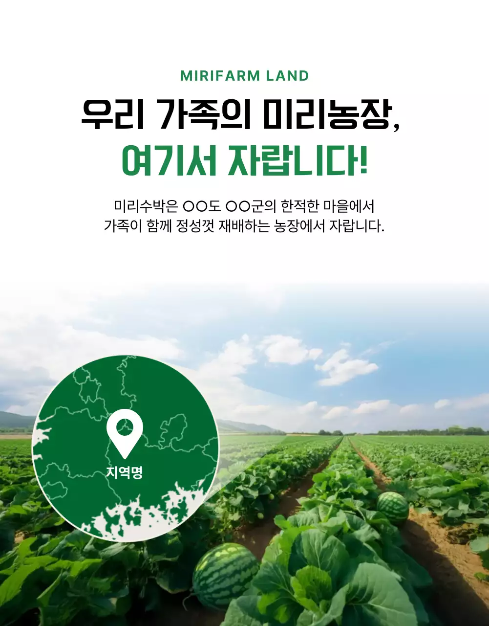 심플한 수박 상세페이지