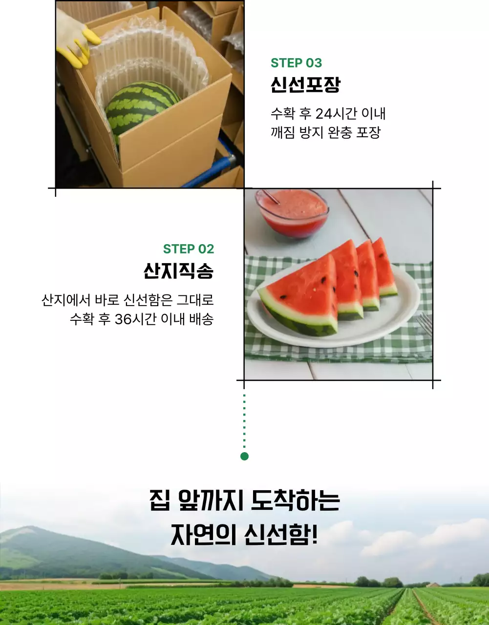 심플한 수박 상세페이지