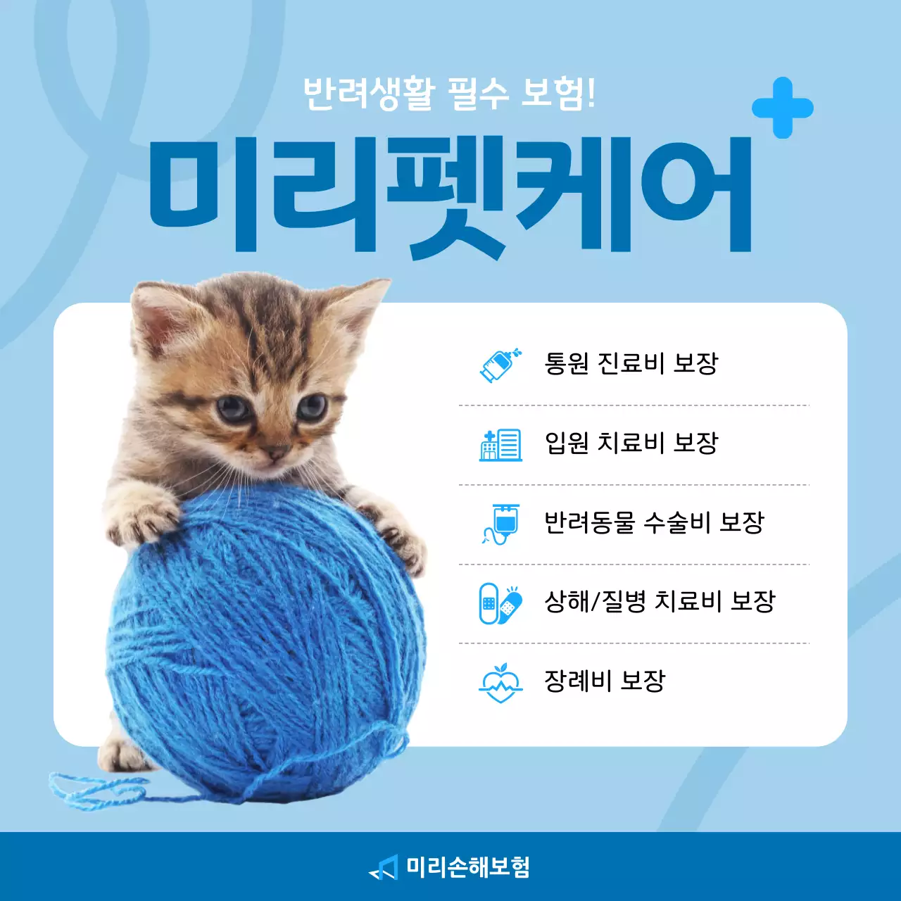하늘색 깔끔 반려동물 보험 홍보
