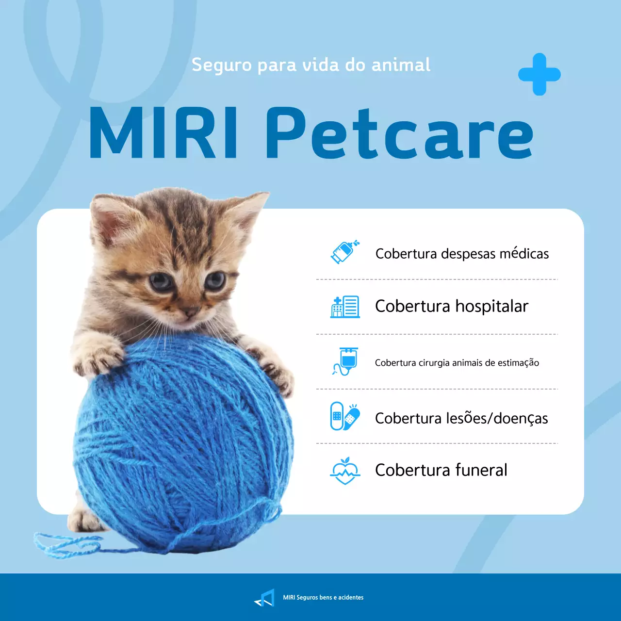 Promoção de seguro para animais de estimação Sky Blue Clean