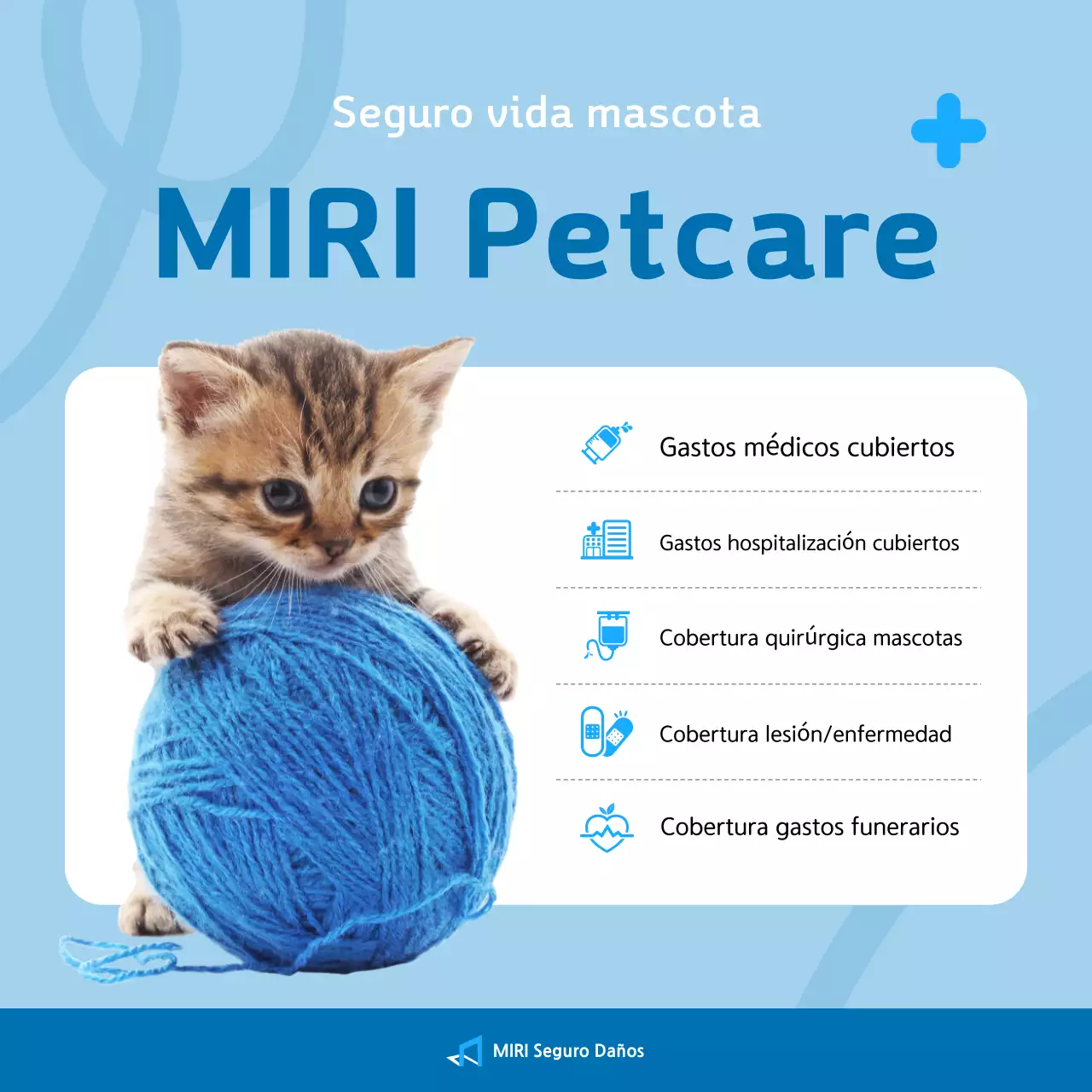 Promoción de seguro para mascotas Sky Blue Clean