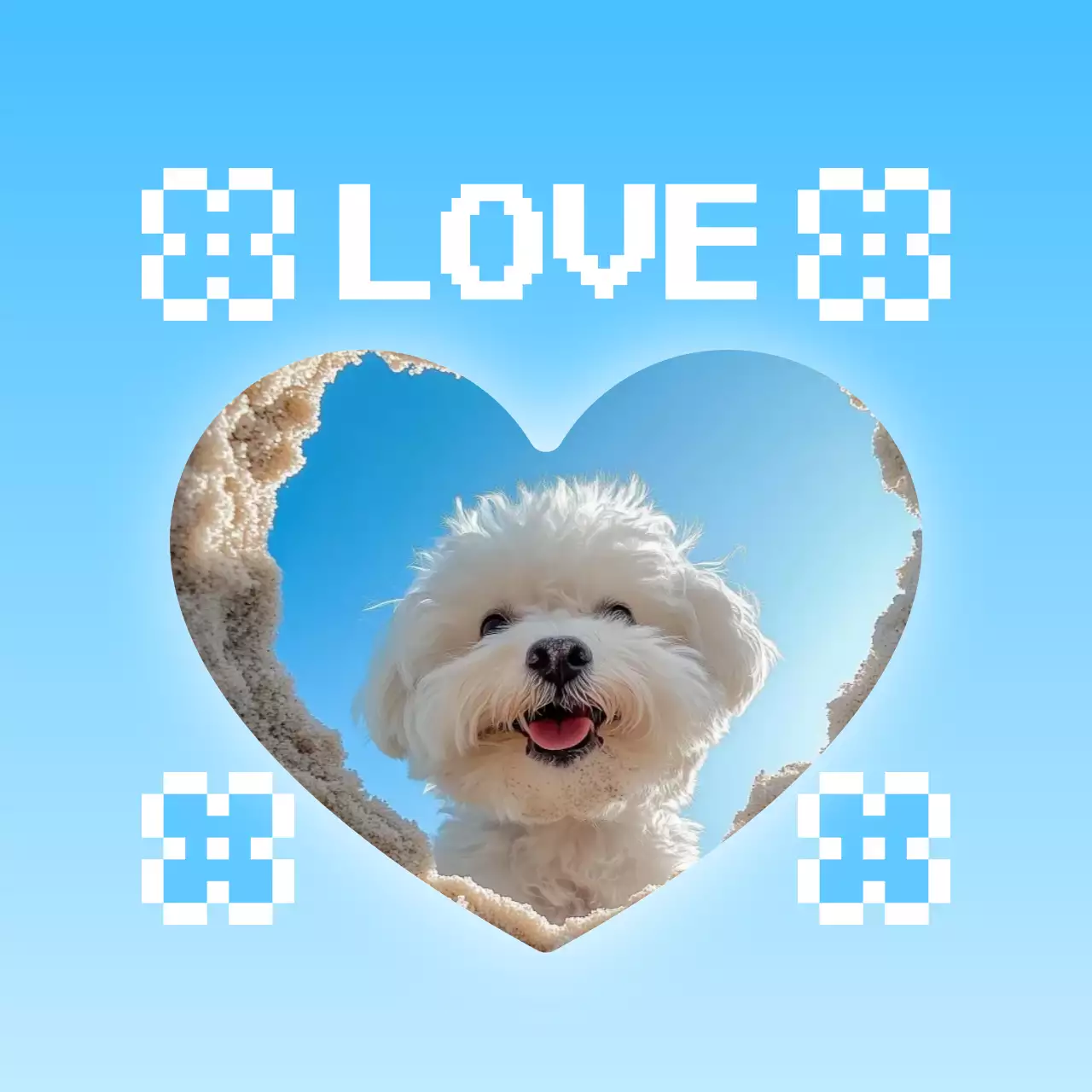 아기자기한 반려동물 포토프레임